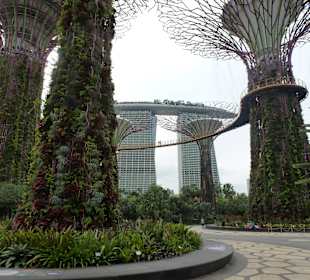 Gardens by the Bay