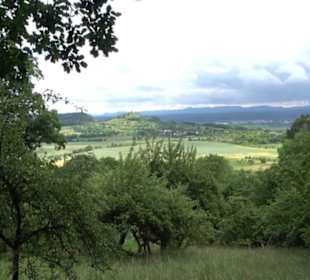 Schutzgebiet Spitzberg, Pfaffenberg