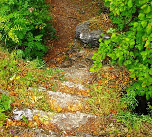 Treppen zum Ausblick