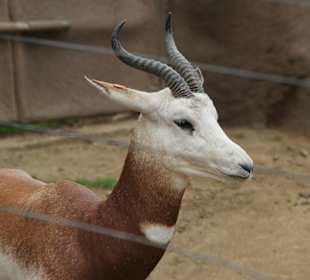 Zoo