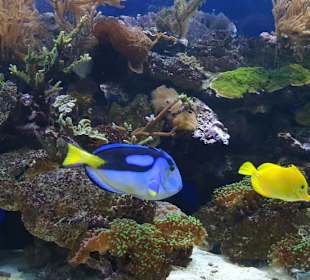 Allwetterzoo Münster