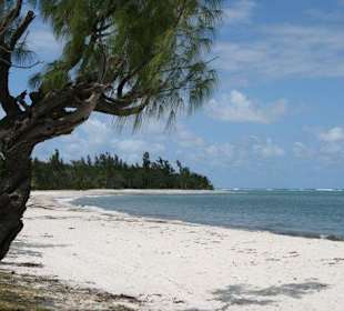 Ausflug zur Clipper Bay