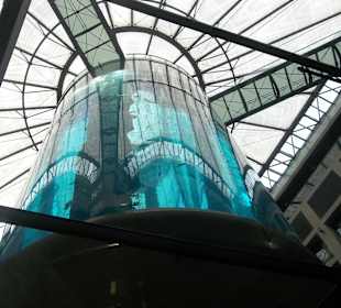 Akwarium z windą w środku