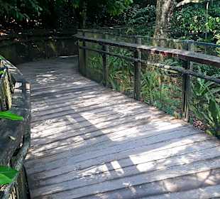 Botanischer Garten