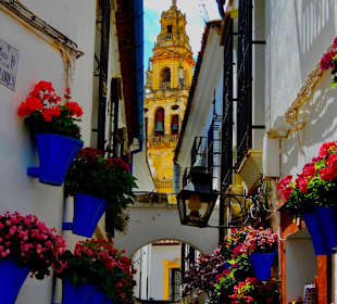 Calleja de las Flores