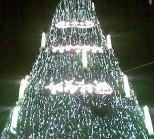 Weihnachtsbaum ´08
