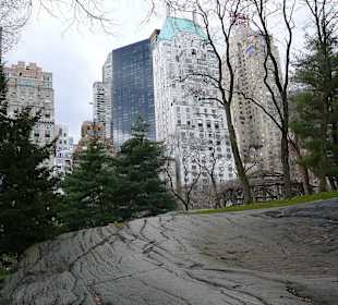   NYC Central park