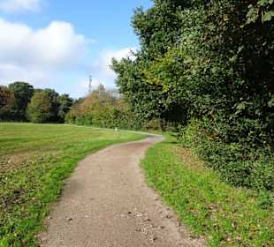 Impressionen vom Spaziergang am Drielaker See