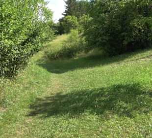 Wanderweg Ammerbucher Gigeleswegle