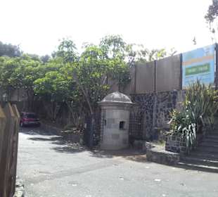 Parque Marítimo César Manrique in Santa Cruz