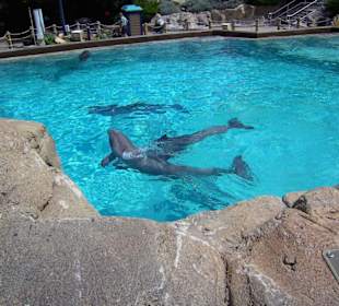 Sea World
