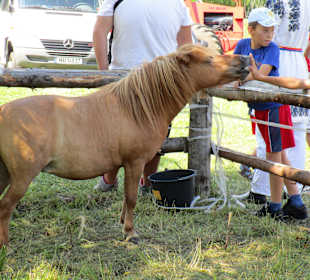 Festivalului Etnografic al Comunităţilor Răstolița