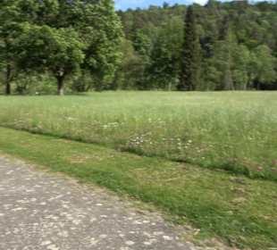 Kurpark Bad Niedernau