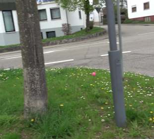 Pfarrer-Julius-Zodel-Platz