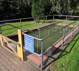 Kneipp-Anlage im Edgar-Deichmann-Park