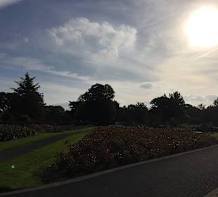 Tralee Stadtpark