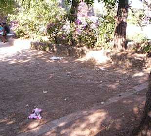 Rhodos Stadtpark verdreckt, schade.