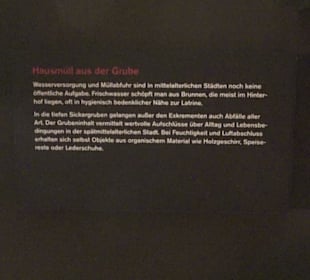 Rheinisches Landesmuseum