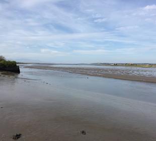 Blick auf den River Lee