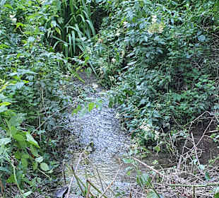 Wandern Geisfeld
