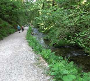 Wasserfälle Allerheiligen