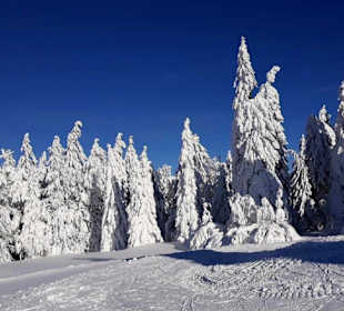 Wandern Mitterfirmiansreut