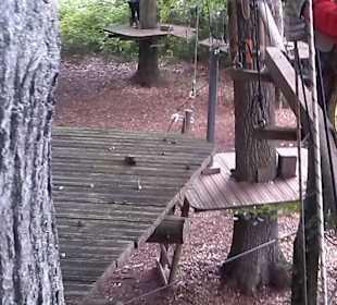 Fun Forest AbenteuerPark Homburg in Homburg