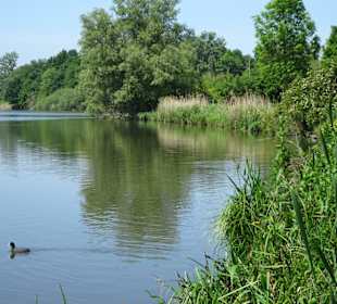 Impressionen vom Krimpelsee