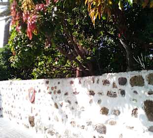 Sehenswürdigkeiten Agaete, bitte zuordnen Danke