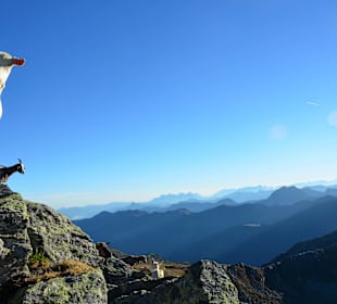 Wandern Neukirchen am Großvenediger