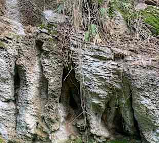 Ein weiterer idyllischer Pool, schrecklich 