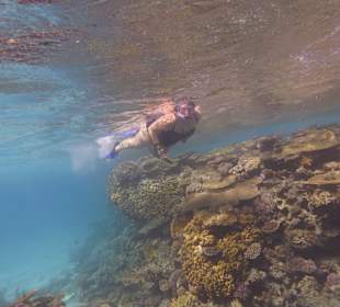 Einmalie Erlebnisse mit Mo´s Delfinen