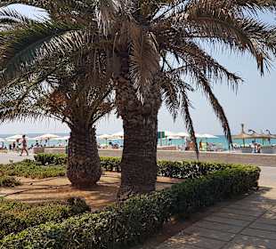 Strandpromenade El Arenal