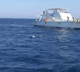 Ausflug Giftun Insel