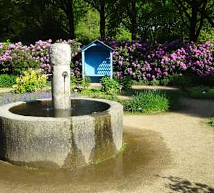 Der Duftgarten im Rhododendronpark Bremen