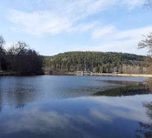 Gelterswoog in Kaiserslautern