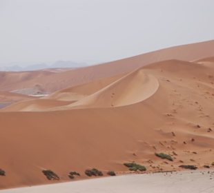 Sossusvlei 1