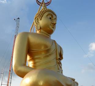 Oben - nach 1237 Stufen