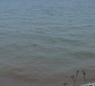 Blick auf den Lake Ontario