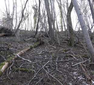 Wanderweg zur Achalm