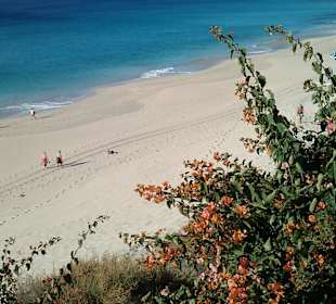Strand bei morro jable