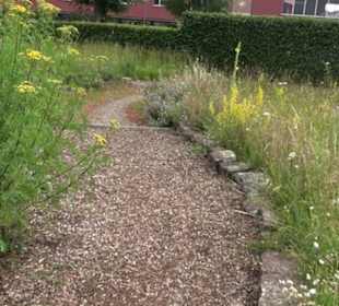 ALB-GOLD Naturgarten