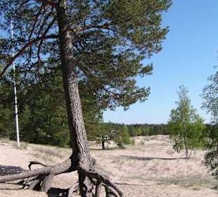 Am Strand von Yyteri