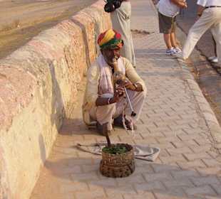 Der Schlangenbeschwörer mit der Kobra