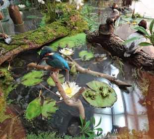 Diorama im Naturkundemuseum Coburg