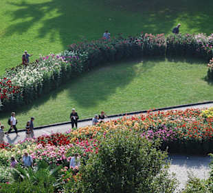 Blick vom Schloss auf den Park