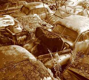 Oldtimer auf Historischem Autofriedhof in Kaufdorf