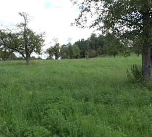 Hochgehnießen - Premiumspazierwanderweg