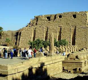 Einen Teil der Widdersphinx im Karnak Tempel