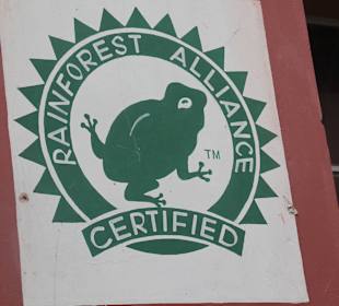 Teefabrik Puttabong Tea Estate